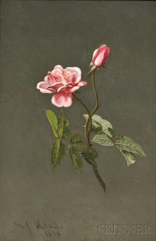 Pink Rose by Martin Johnson Heade