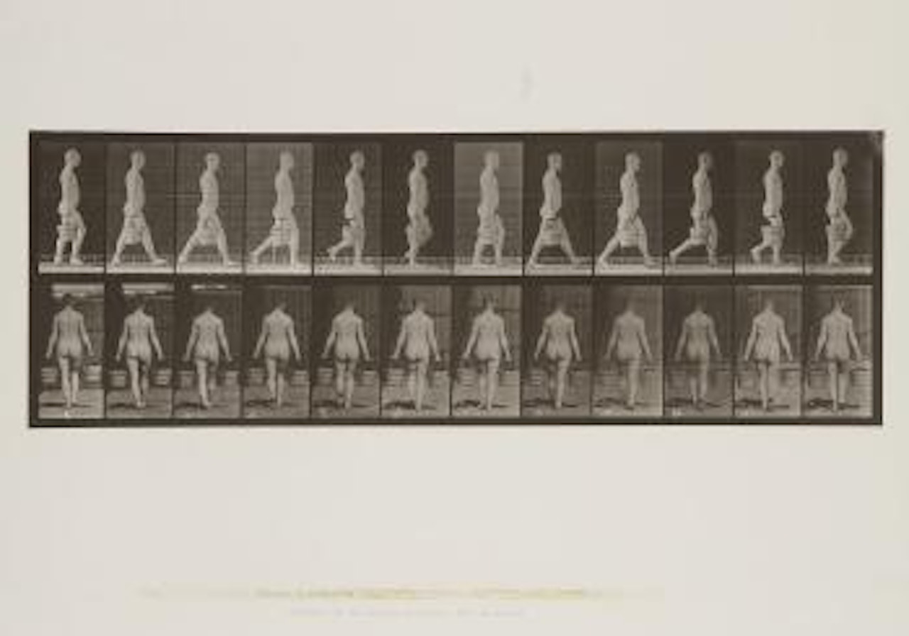 Animal Locomotion by Eadweard Muybridge