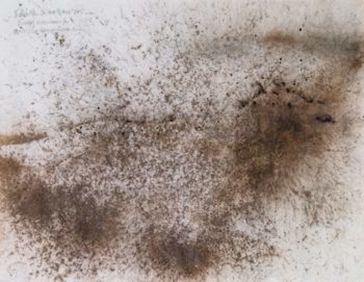 Wolves of the Dark Night: Drawing Experiment for Deutsche Guggenheim by Cai Guo-Qiang