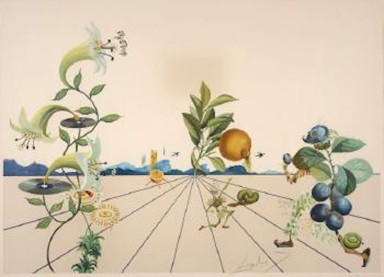 Flordali I by Salvador Dali