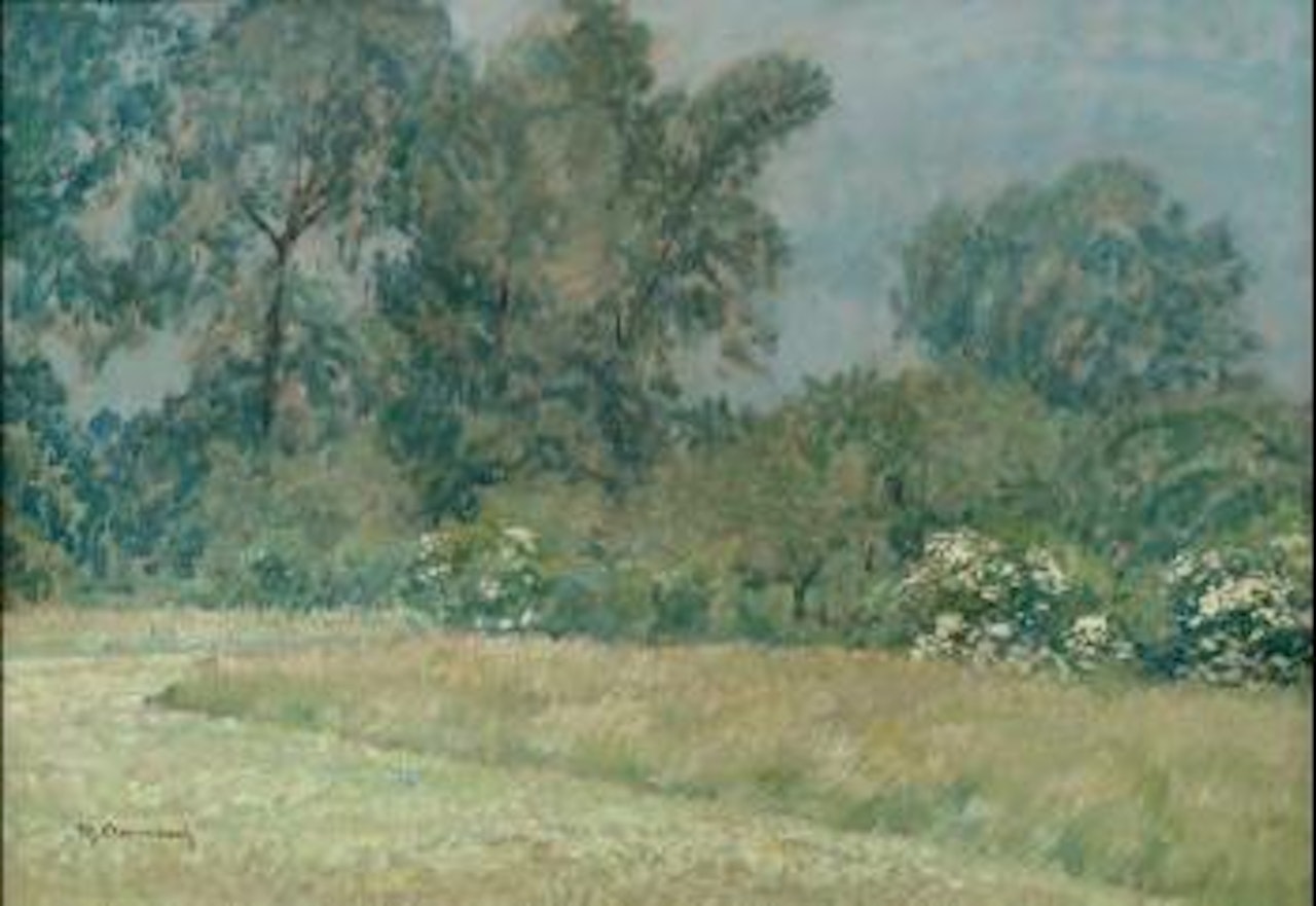 Sommerlandschaft mit Holunder by Max Clarenbach