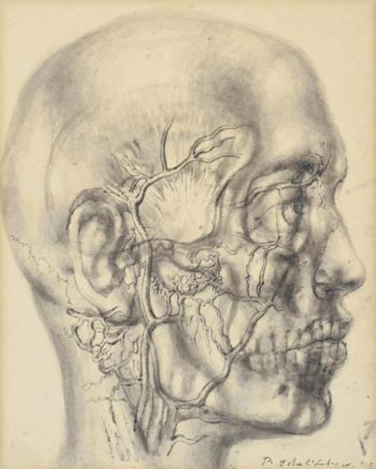 Anatomic head by Pavel Tchelitchew