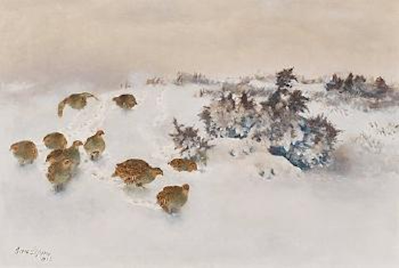 Partridges in snow by Bruno Liljefors