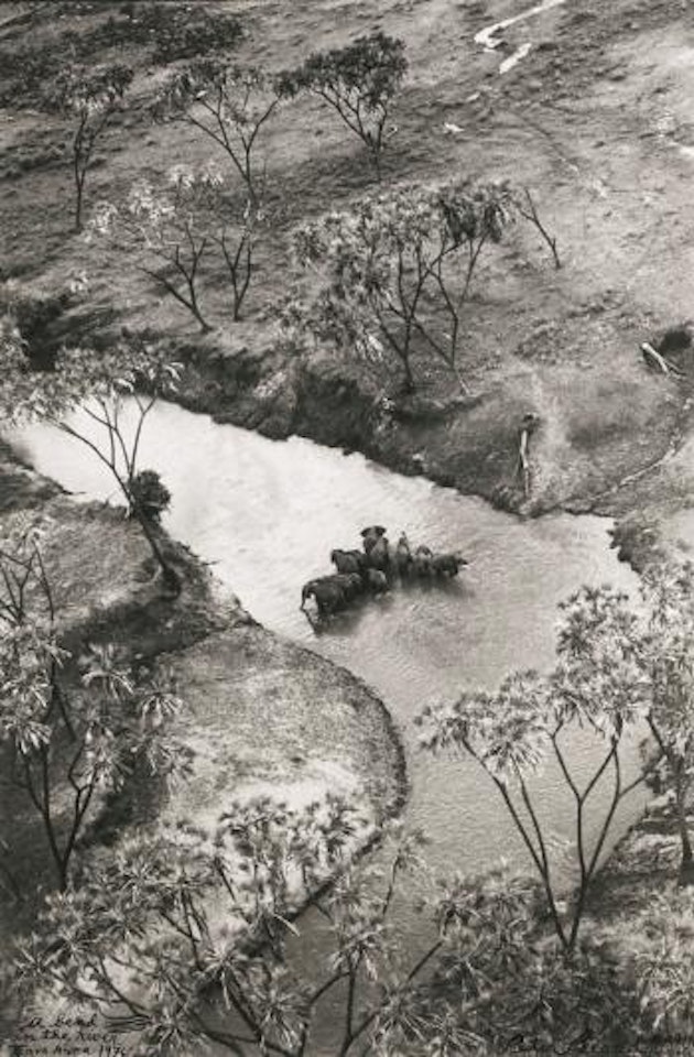 A Bend in The Tsavo River by Peter Beard