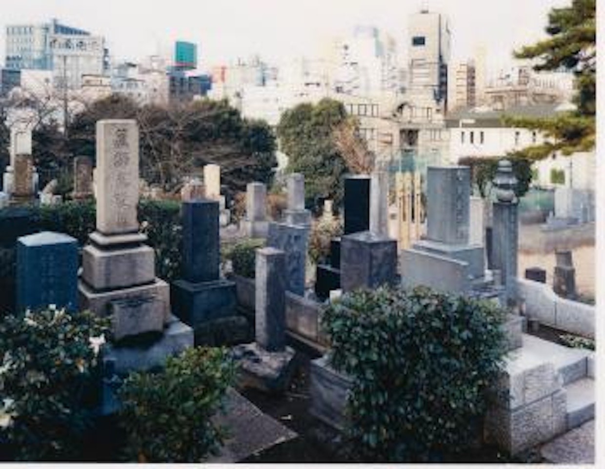 Aoyama Cemetery 2, Tokyo by Thomas Struth