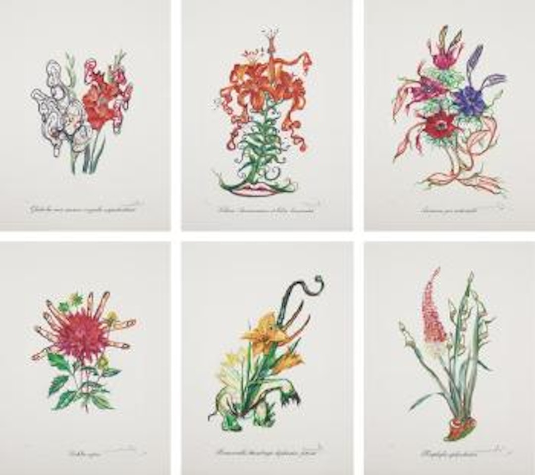 Surrealistic Flowers: six plates by Salvador Dali