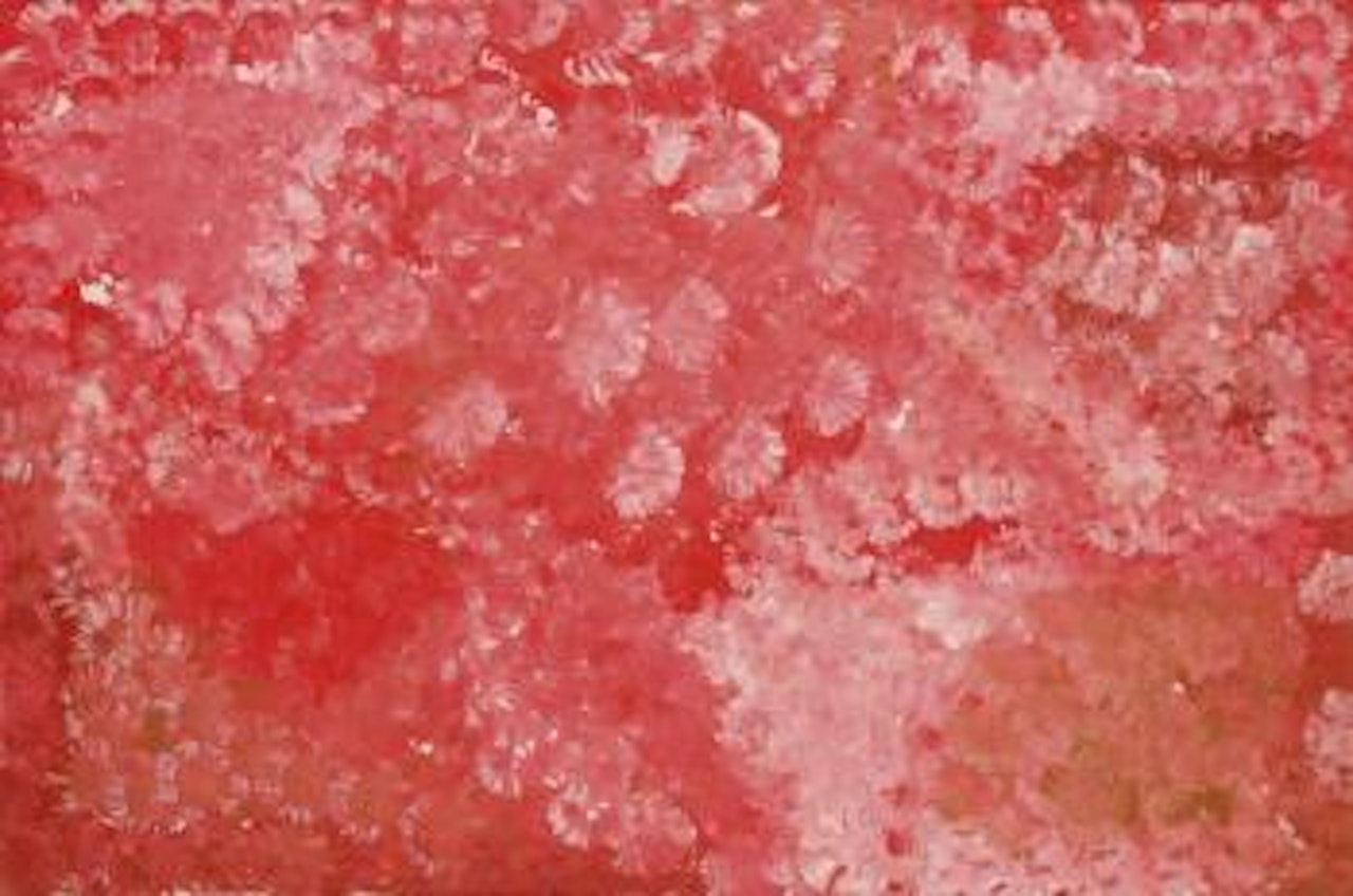 Reve pomme de terre by Emily Kame Kngwarreye