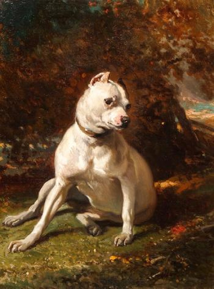 Kleine Bulldogge by Alfred de Dreux