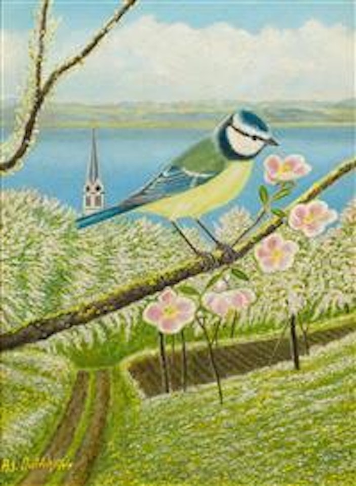 Bluetit On a Branch Of Cherry Blossom by Adolf Dietrich