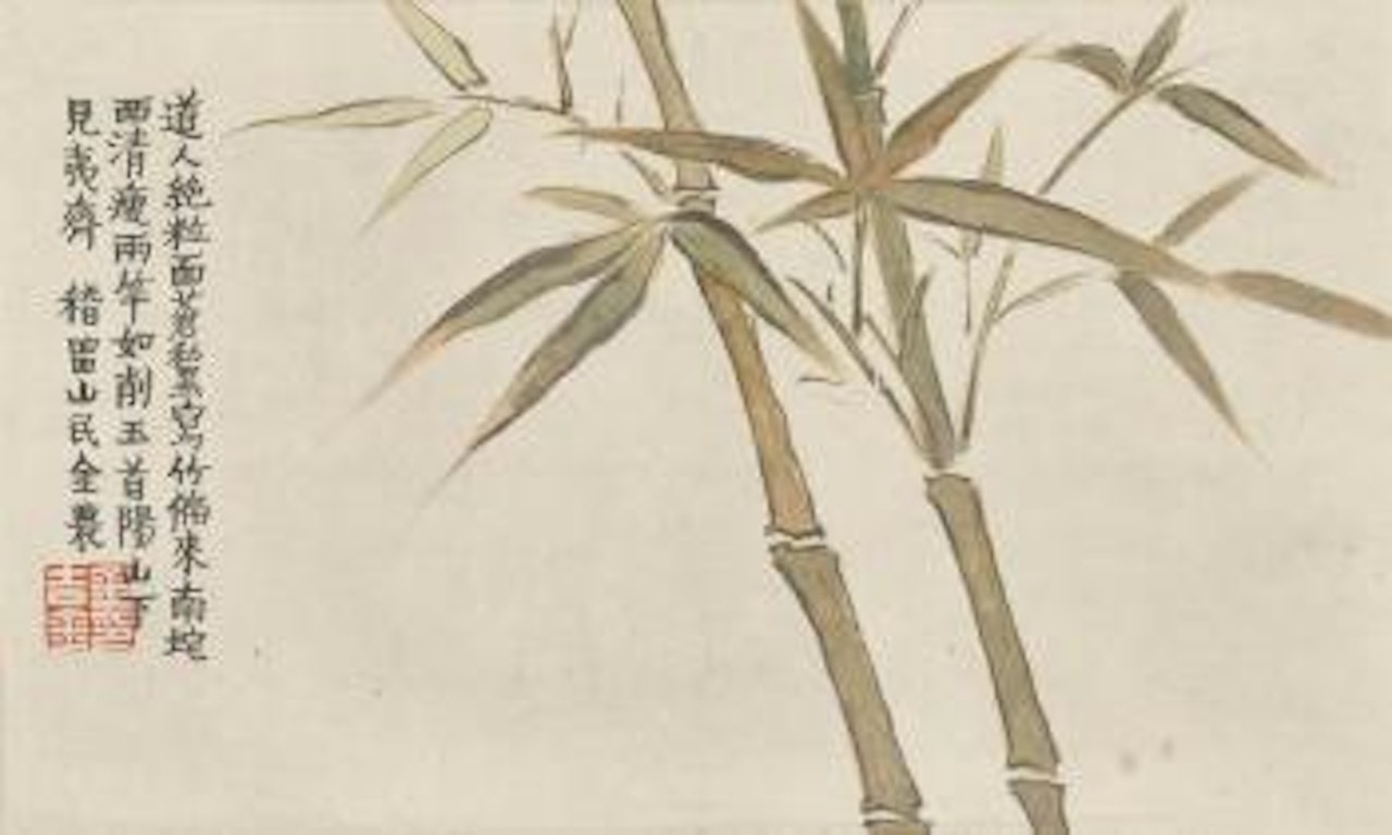 Bamboo by Jin Nong