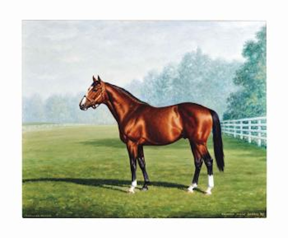 Northern Dancer by Richard Stone Reeves