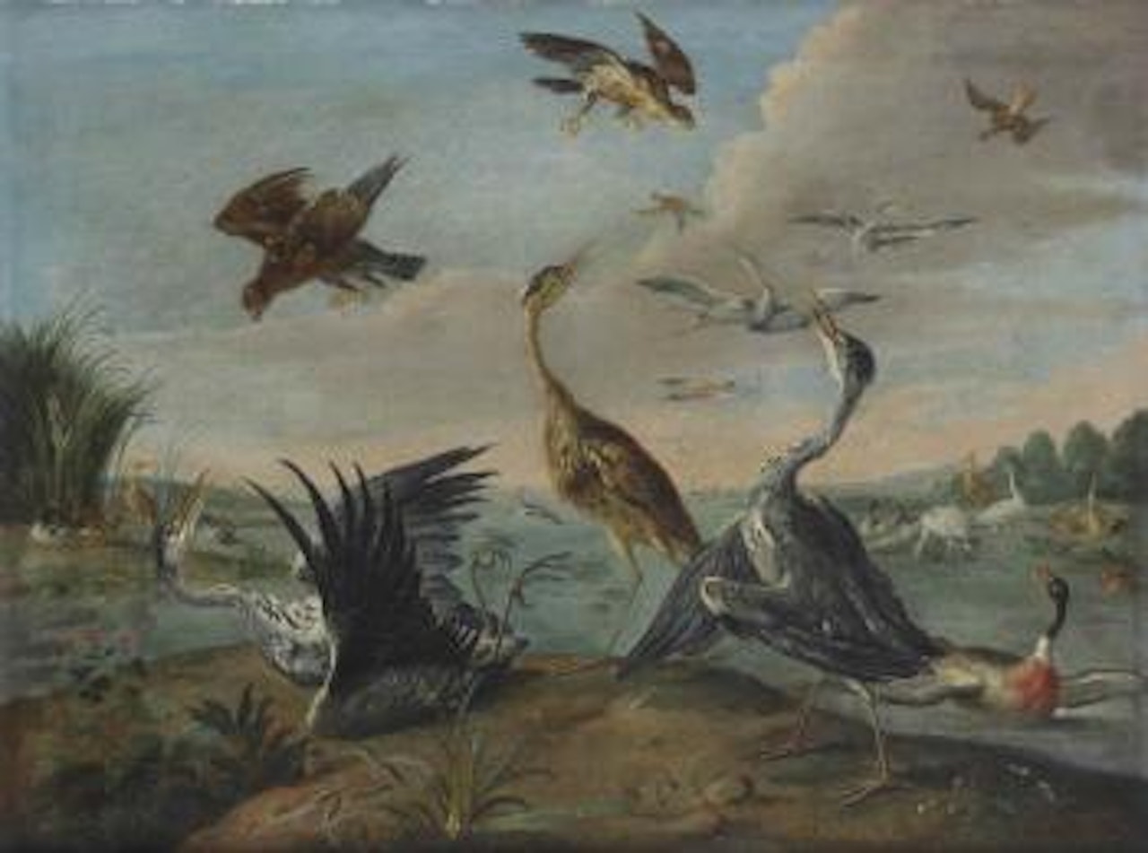 Fighting herons, falcons, ducks and other birds in a river landscape by Jan Van Kessel The Elder