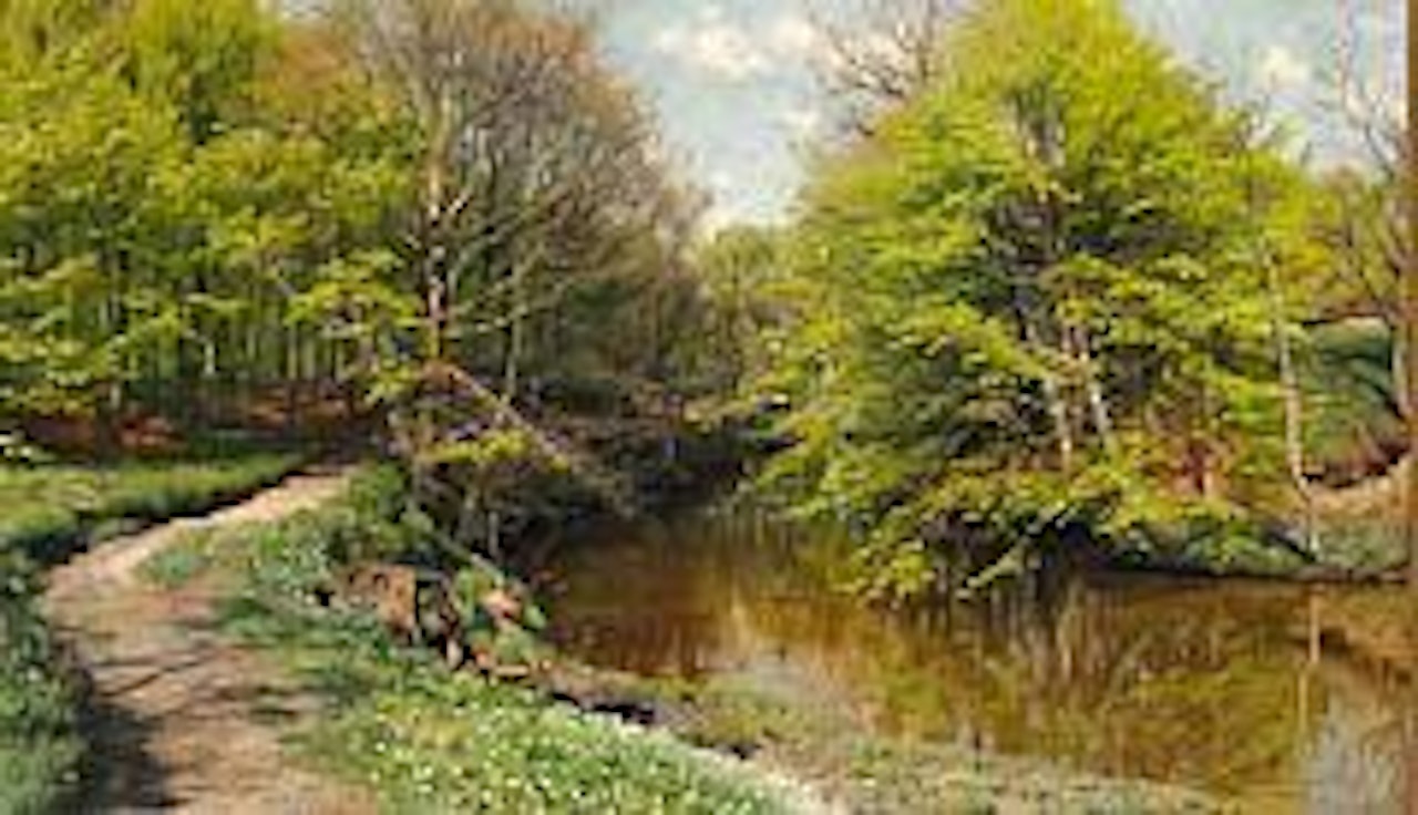 Springtime with beech trees and anemones along a stream in a forest glade by Peder Mork Monsted