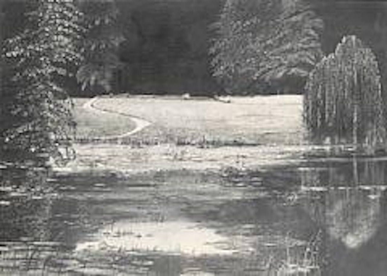 Landscape with lake by Roj Friberg