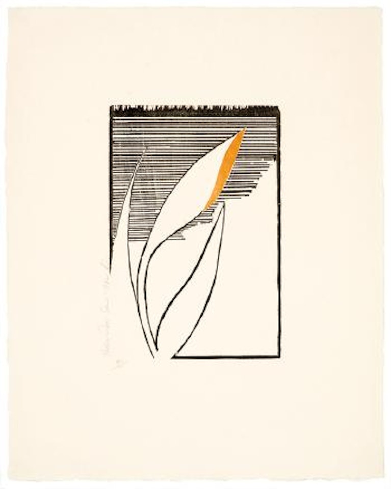 Yellow Iris by Donald Sultan