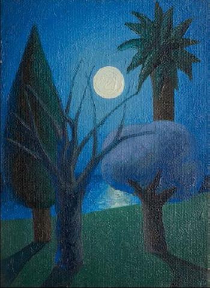 Paesaggio notturno by Salvo