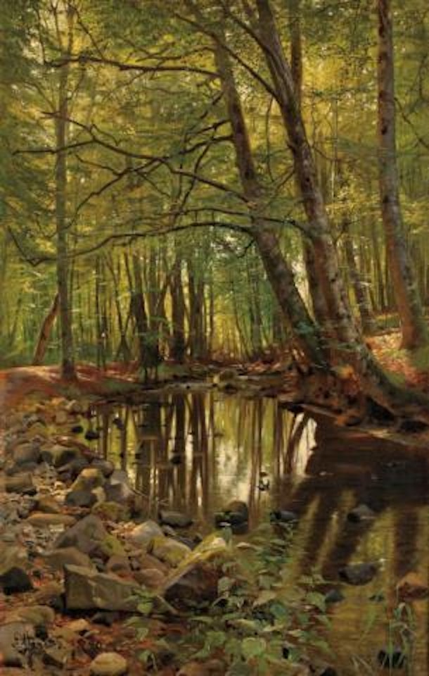 Forest pool by Peder Mork Monsted