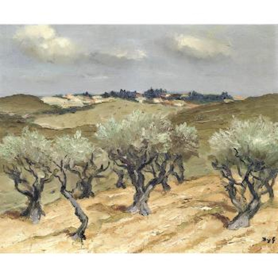 Plan d'oliviers à Eygalières by Marcel Dyf