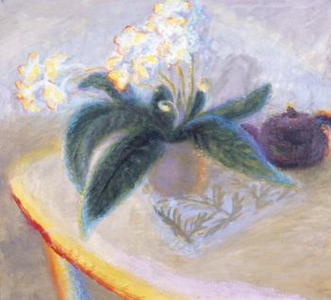 Plant for a Present by Winifred Nicholson