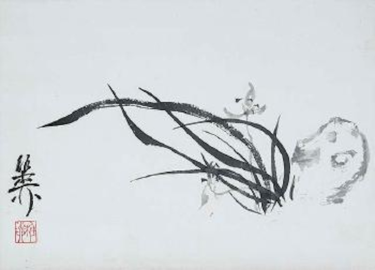 Orchideen by Xie Zhiliu