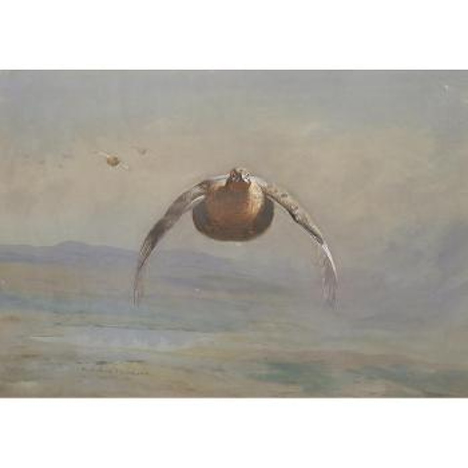 Grouse in flight by Archibald Thorburn