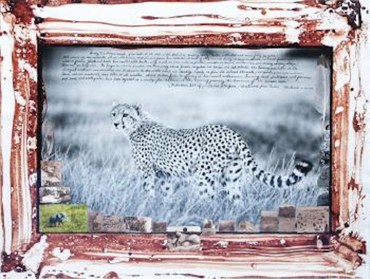 Single Cheetah by Peter Beard