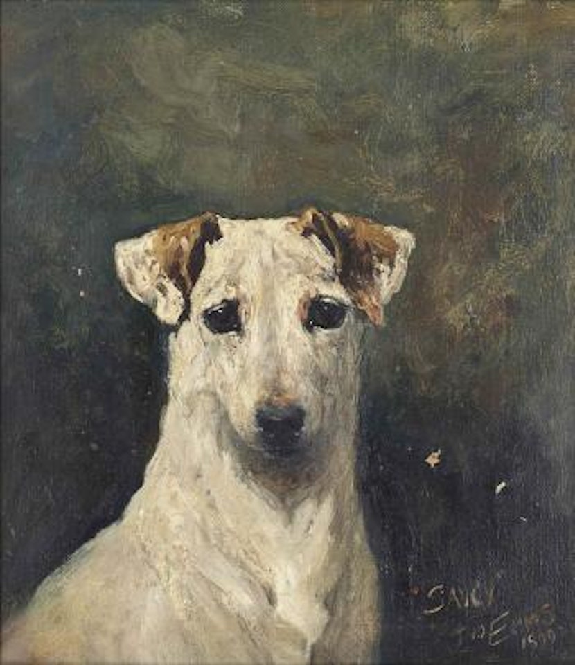 Saucy by John Emms