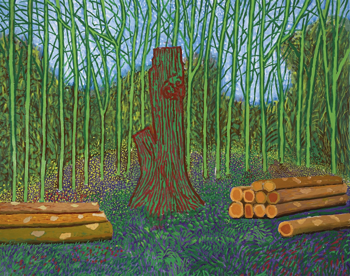 ARRANGED FELLED TREES by David Hockney