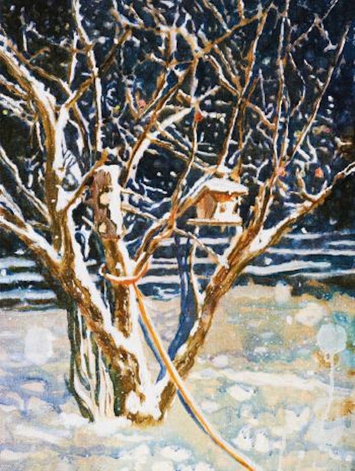Bird House (small) by Peter Doig