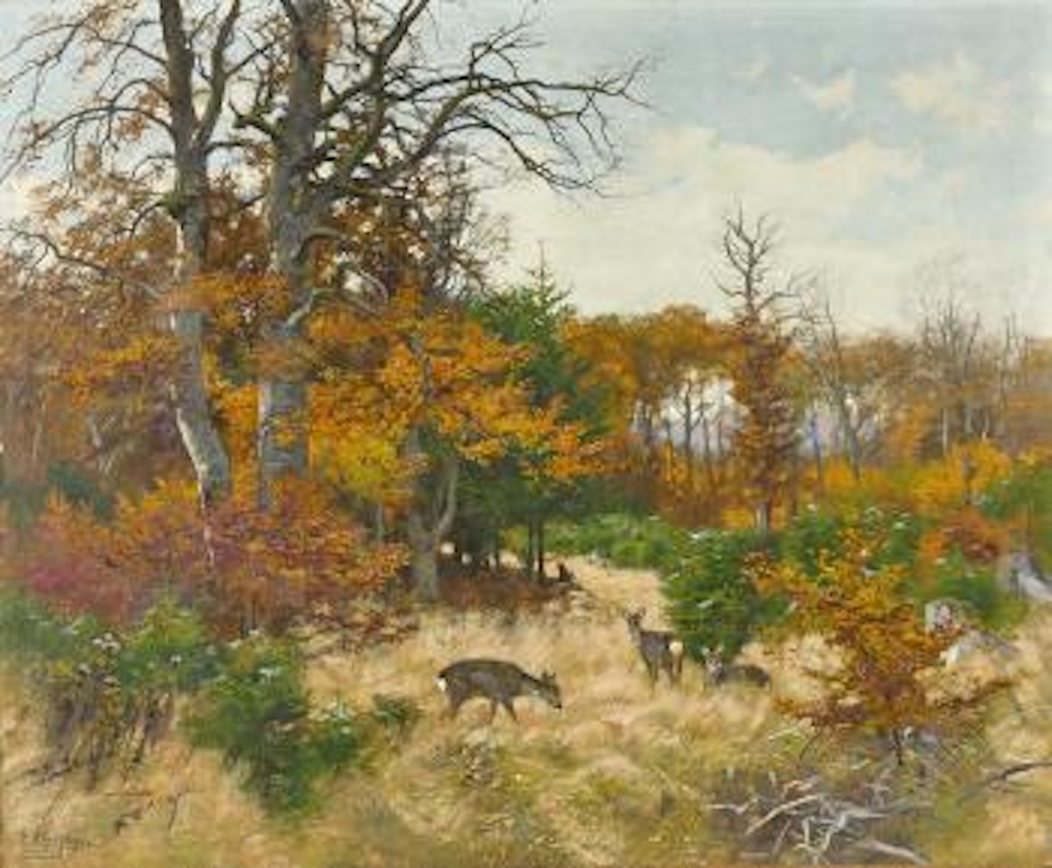 Herbstliche Waldlandschaft mit Rotwild auf Lichtung by Josef Schmitzberger