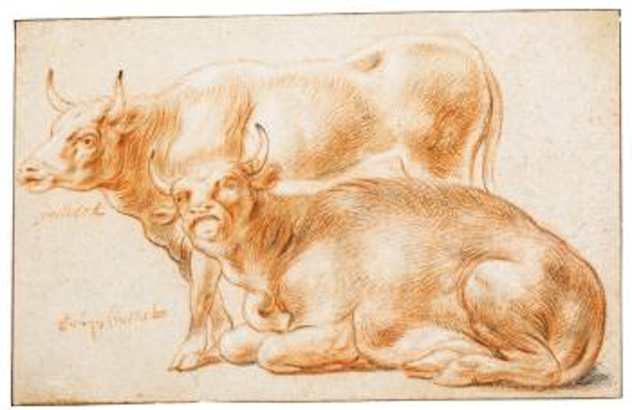 Two Cows by Jacob Jordaens