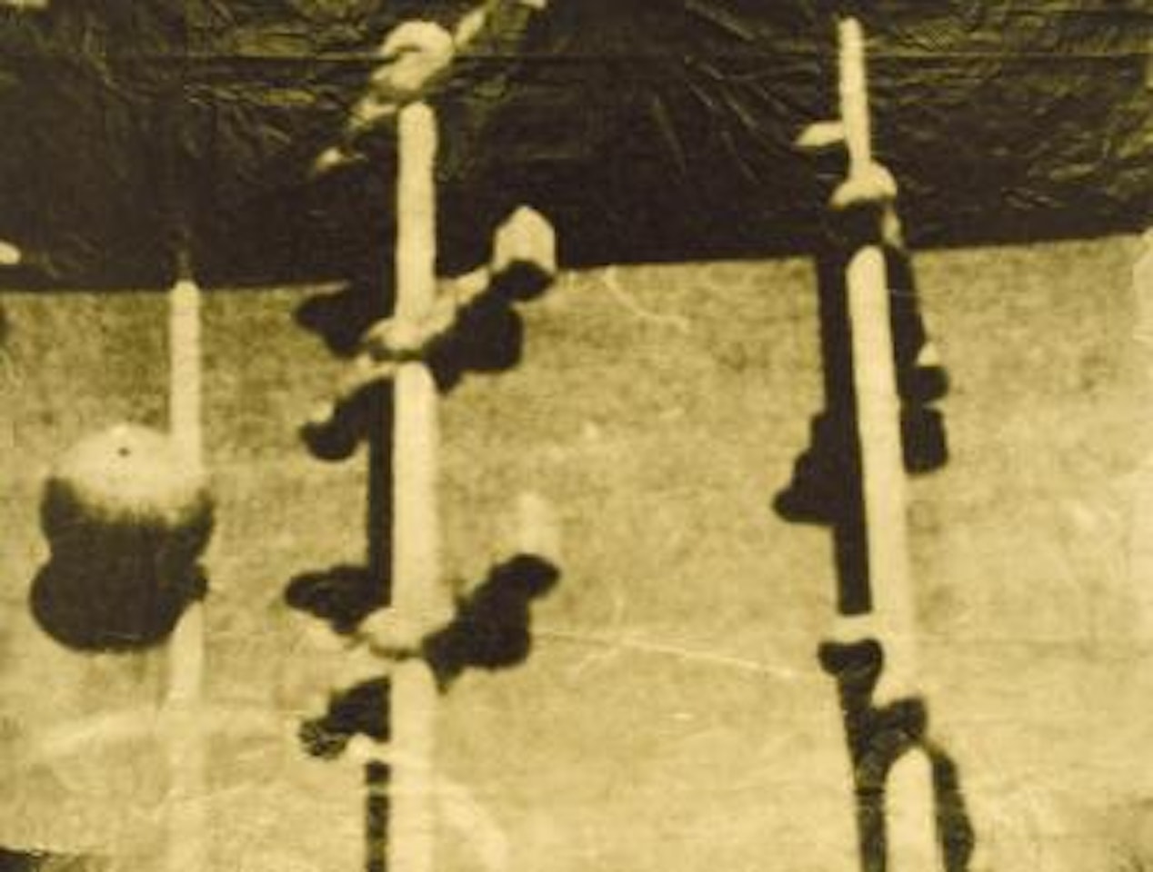 Fernsehbild I by Sigmar Polke