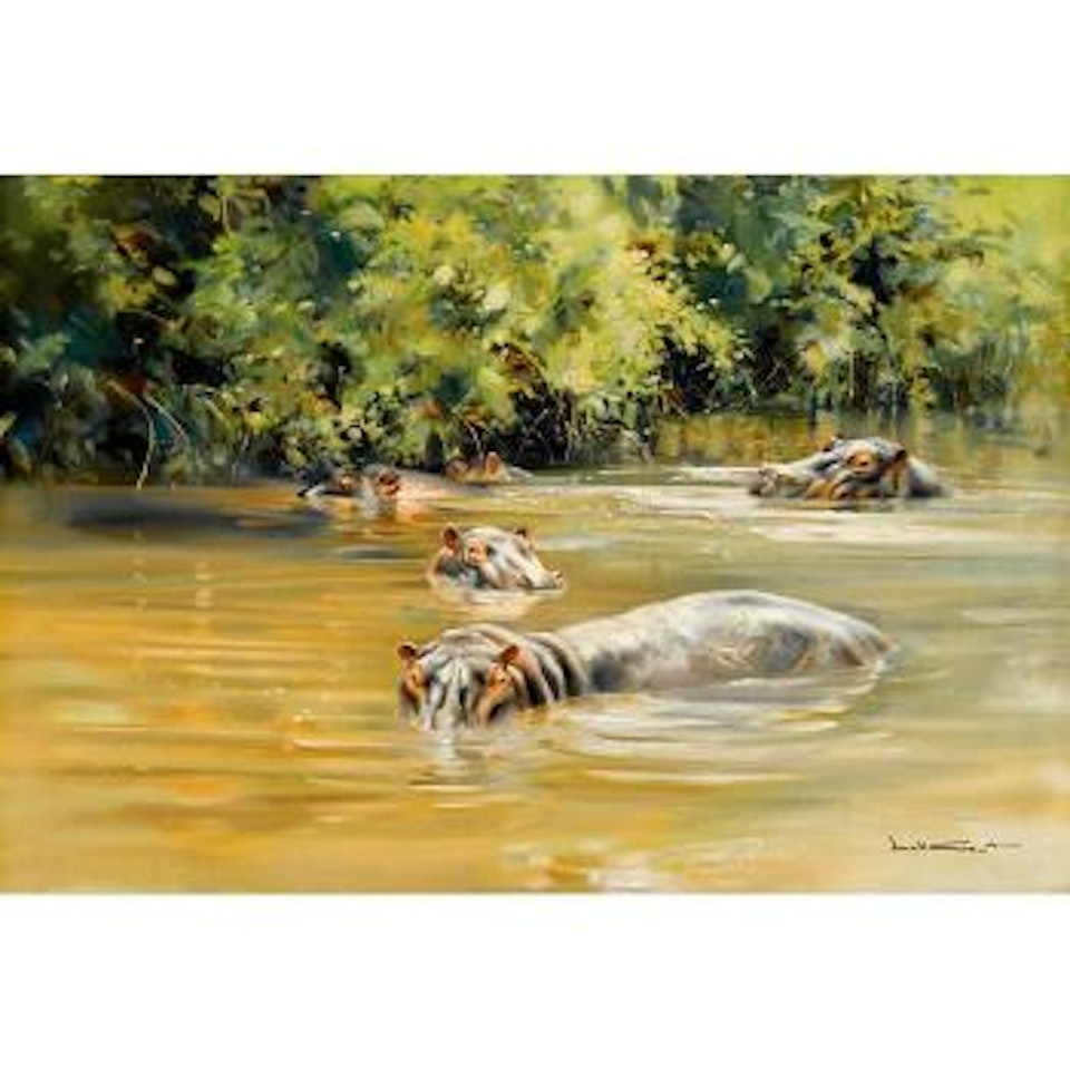 Hippopotami by Donald Grant