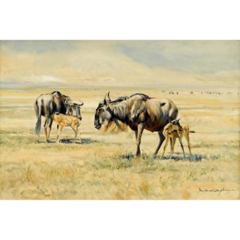 Wildbeest by Donald Grant