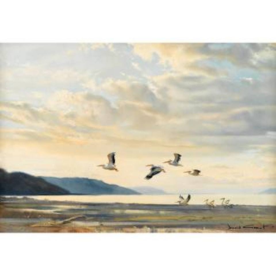 Pelicans in flight by Donald Grant