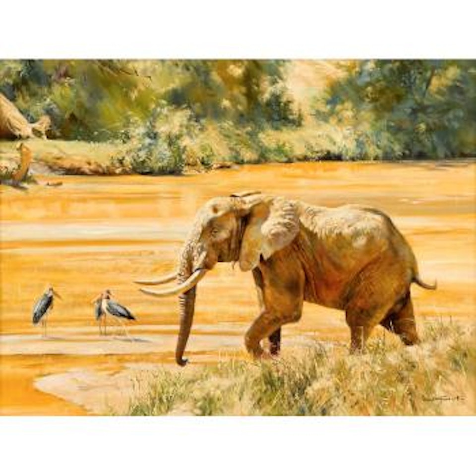 Elephant with egrets by Donald Grant