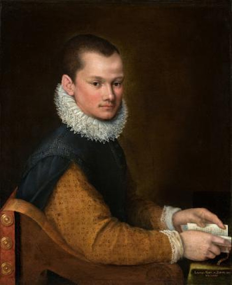 Bildnis Eines Jungen Mannes An Seinem Tisch by Lavinia Fontana