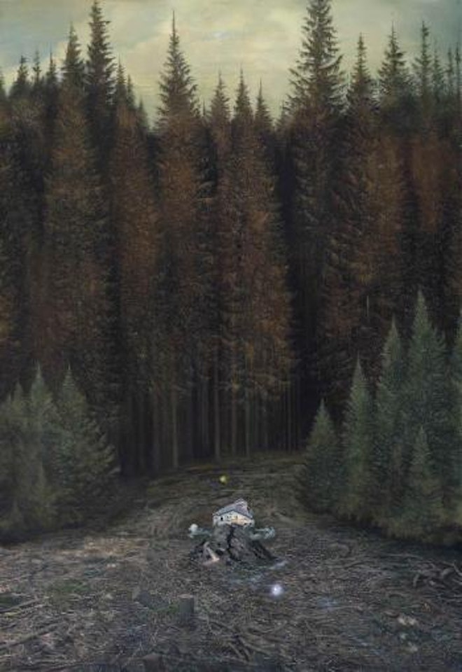 The Ghost of a Mountain by Ged Quinn