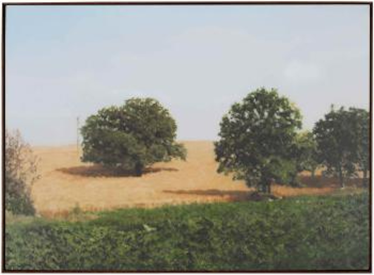 BÃ¤ume im Feld (Trees in Field) by Gerhard Richter