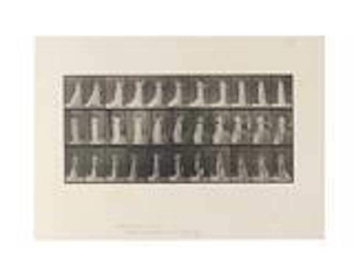Animal Locomotion by Eadweard Muybridge