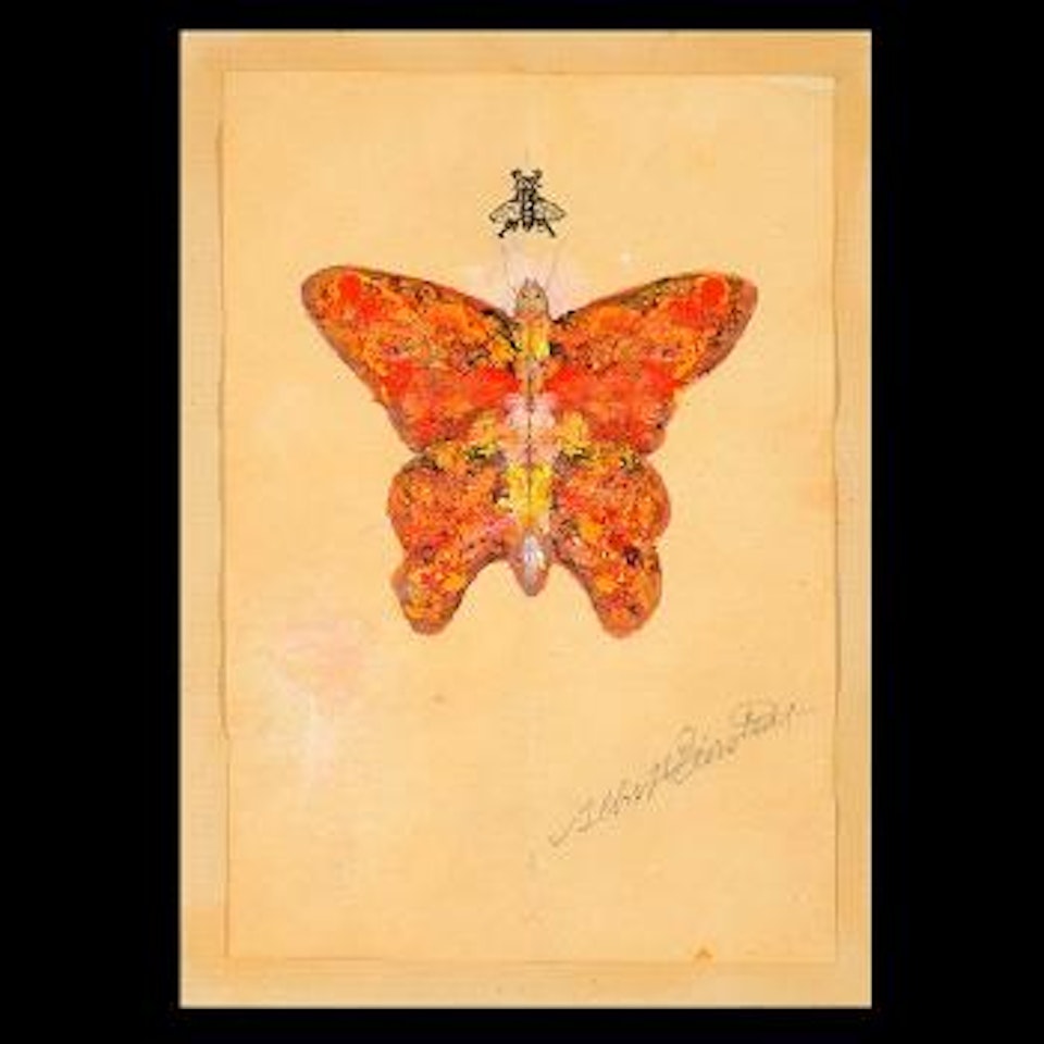 Butterfly by Albert Bierstadt