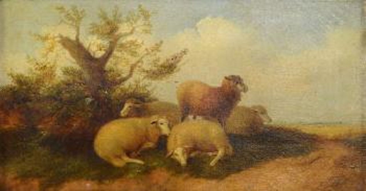 Study of sheep by Thomas Sidney Cooper