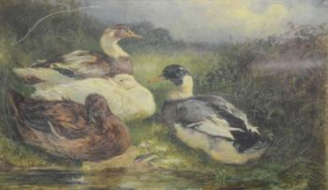 Three ducks by a pool by Heywood Hardy