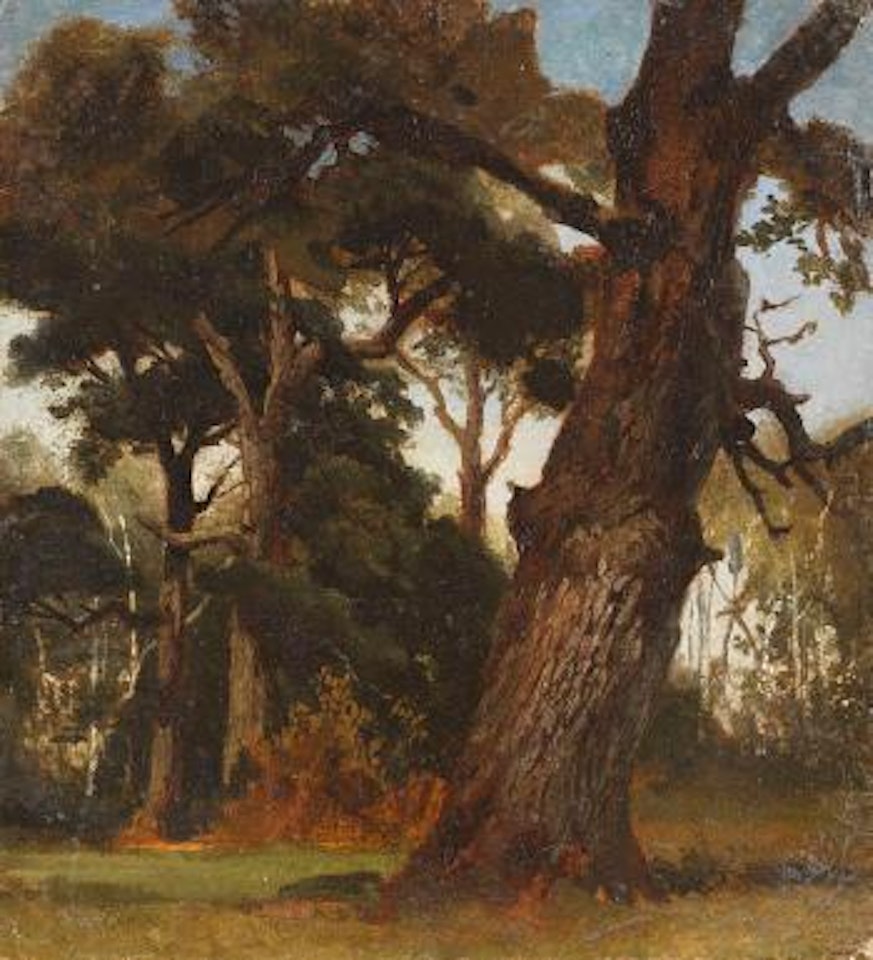 Kleine Parkansicht (Studie) by Christian Friedrich Gille