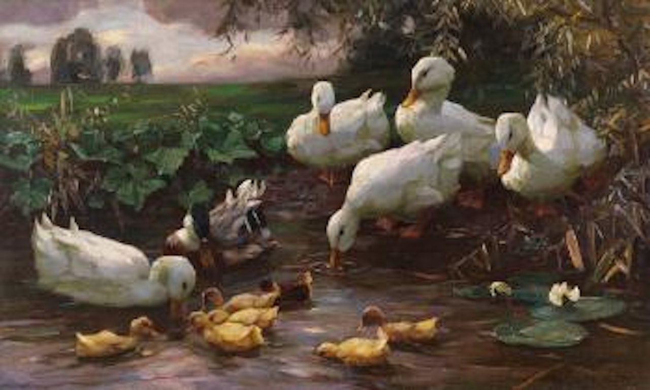 Erpel mit Enten und Küken am Seeufer by Alexander Koester