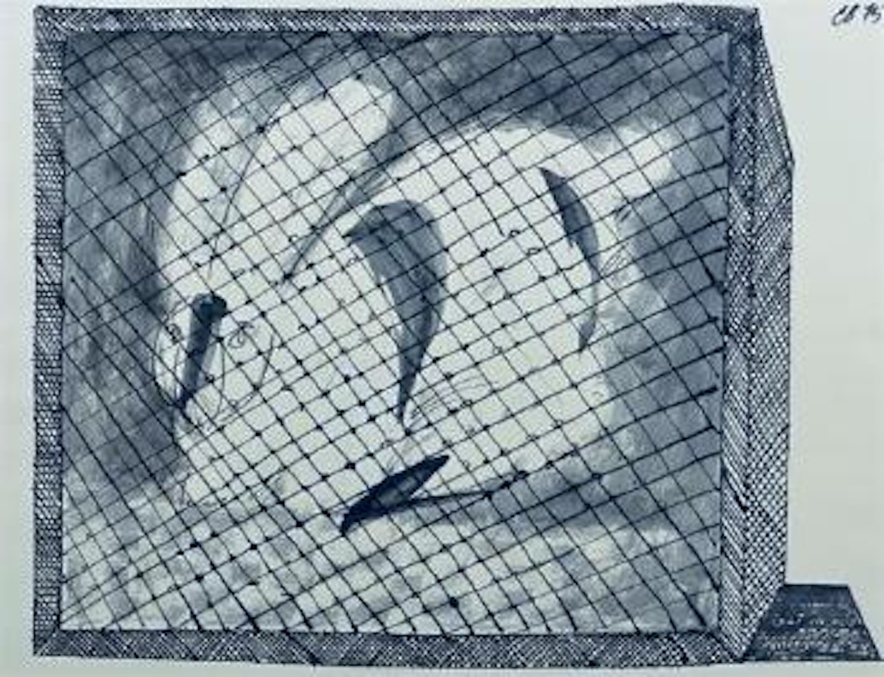 The Rabbit by Charles Blackman