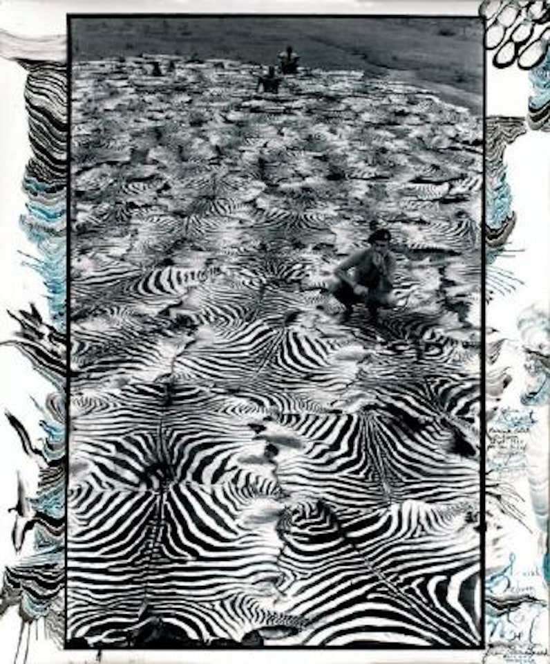 Zebra carpet, Lariak estate, Laikysia, for the end of the game last word from paradise by Peter Beard