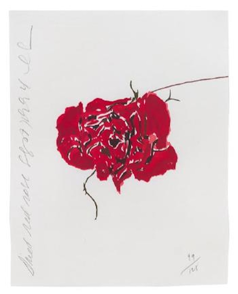 Dried red rose by Donald Sultan