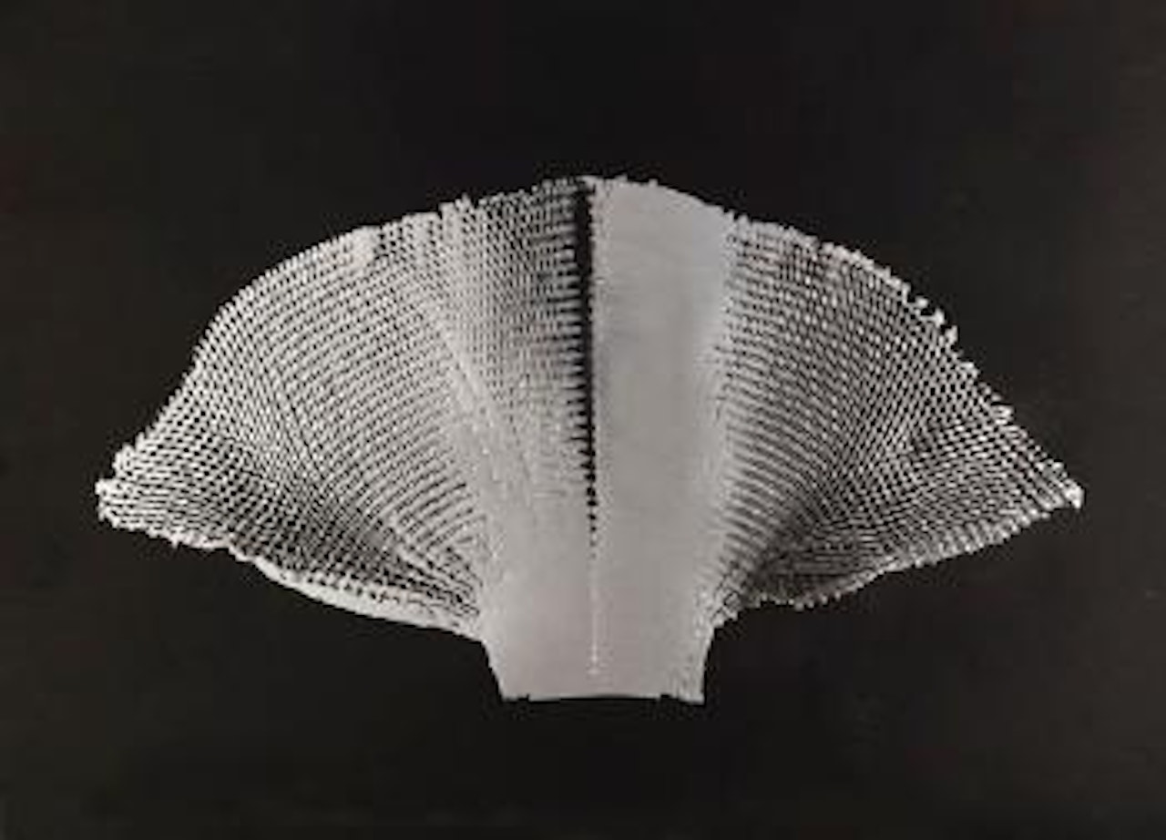 Silberflügel by Heinz Mack