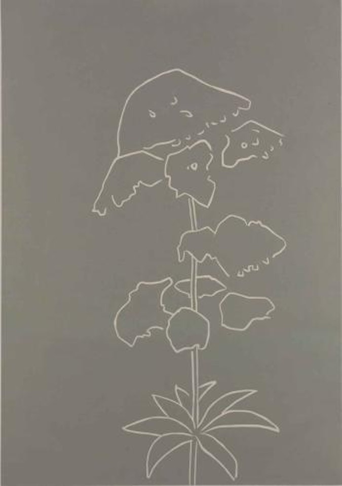Yarrow by Alex Katz